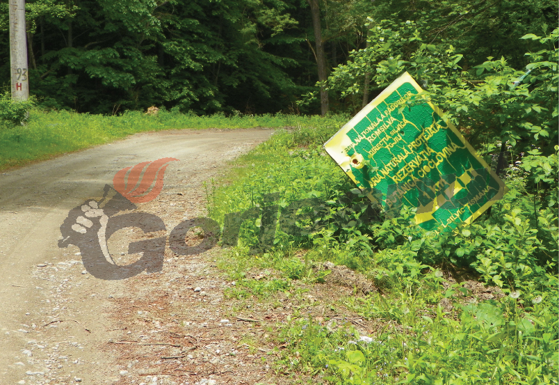 Fonduri substanţiale şi la îndemână pentru infrastructura agricolă şi silvică din Gorj