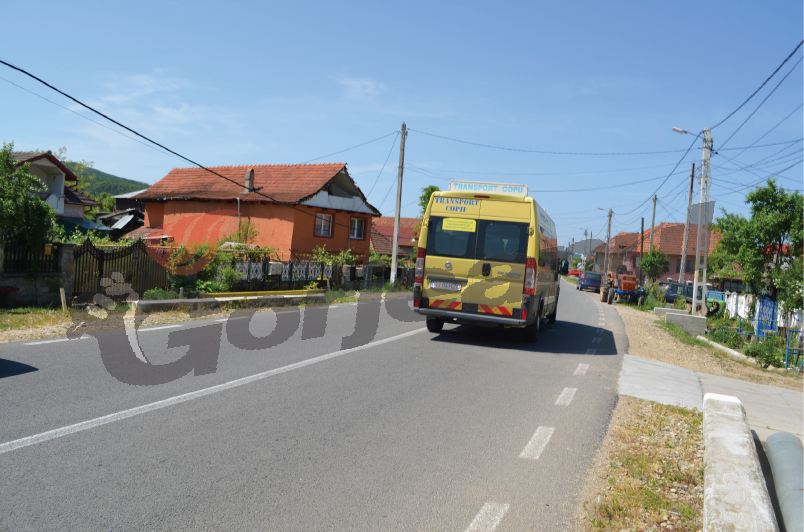 Se caută doi şoferi pentru transportul elevilor din Băleşti