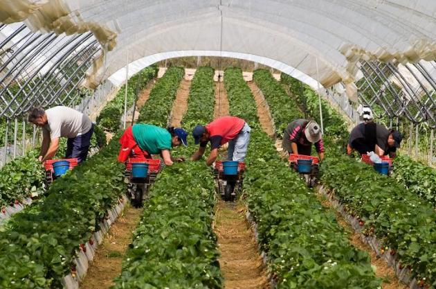 Educaţia prin muncă şi pentru muncă mai figurează în planul de învăţământ?