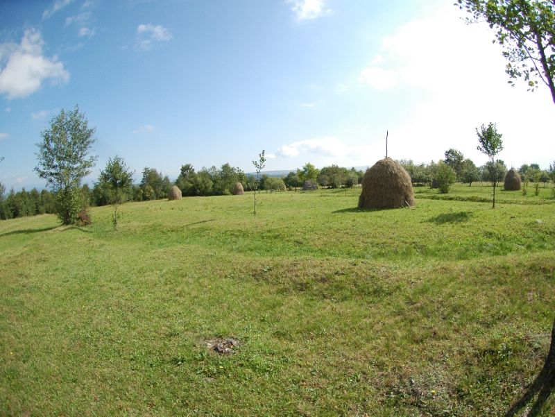 6.000 de hectare de pajişti din Gorj, pregătite pentru amenajamentele pastorale