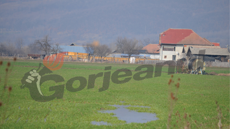 10 milioane euro pentru culturile afectate de secetă