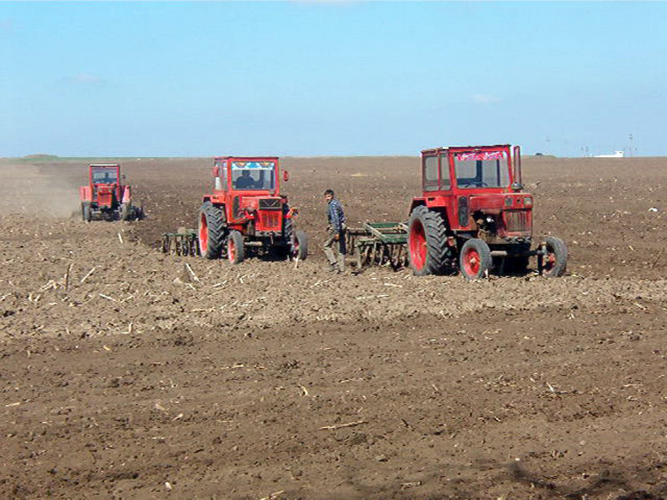 35 de agricultori aşteptaţi la APIA pentru decontarea motorinei