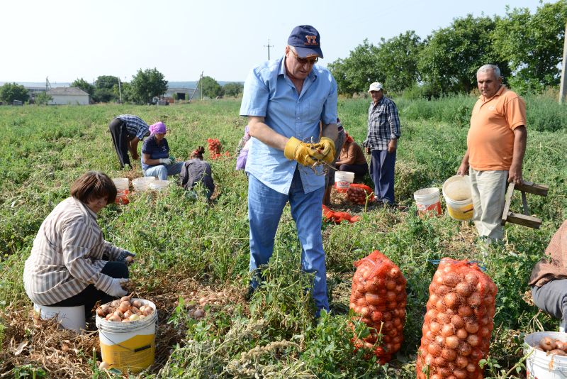 1.700 de joburi, vacante în ţările UE