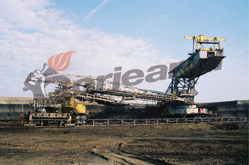 Afacerea Berbeşti, o pierdere de peste 110 milioane de lei ascunsă de CEO