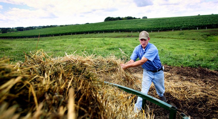 Proiecte de peste 2 milioane euro depuse la OJFIR Gorj