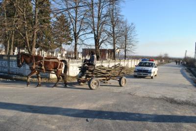 Prinşi cu arborii furaţi în căruţă