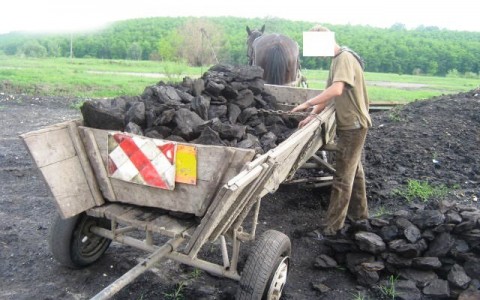 Tineri prinşi la furat de cărbune
