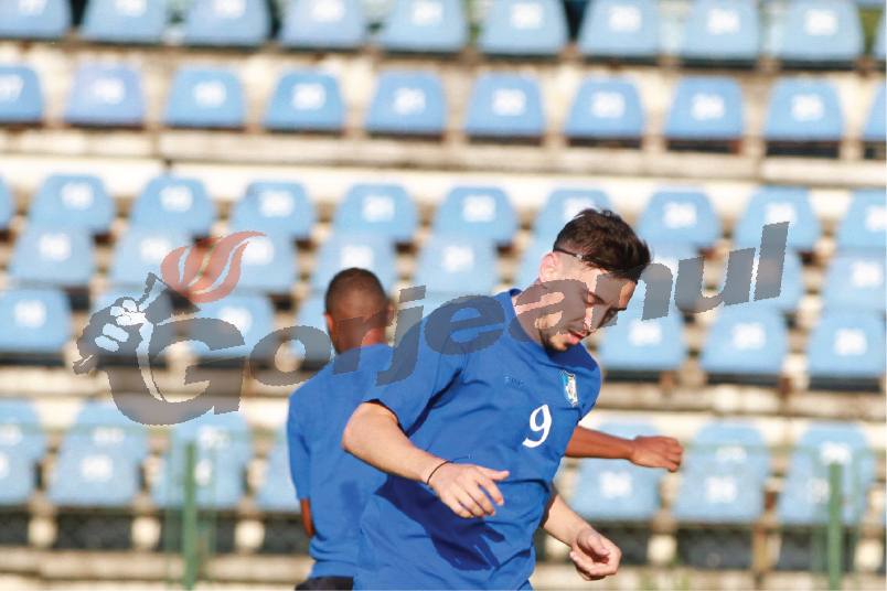 Hora și Wellington, din nou la antrenamente