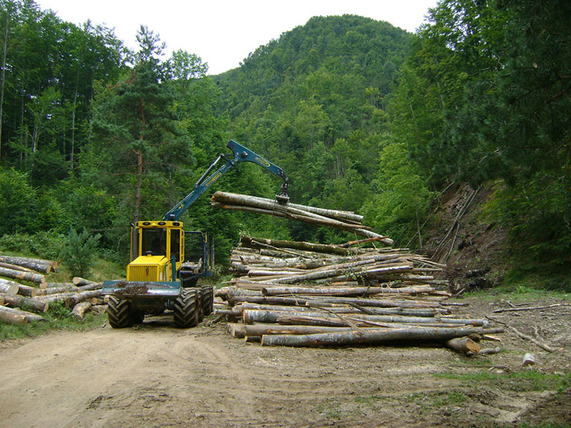 Sferă de control nouă pentru Garda de Mediu Gorj