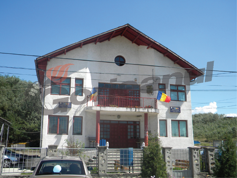 Comisie a CEO, la Primăria Cătunele pentru o analiză a exproprierii pentru anumite terenuri