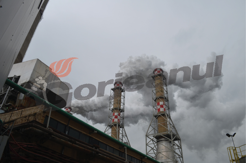 Frica păzeşte CEO! Oficialii companiei se tem de un dosar “şmen dens” şi la SE Turceni