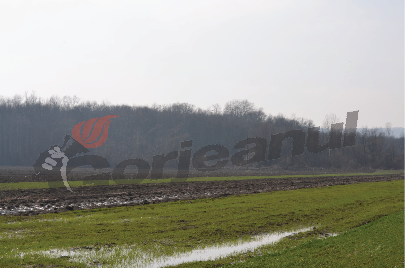 Agricultorii gorjeni, aşteptaţi să-şi achite impozitele