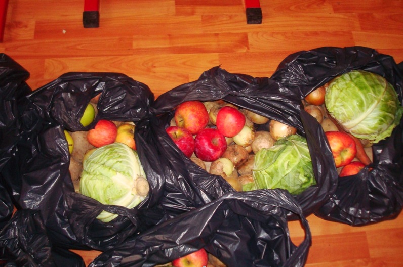 Suntem oameni, suntem definiţi de acţiunile noastre