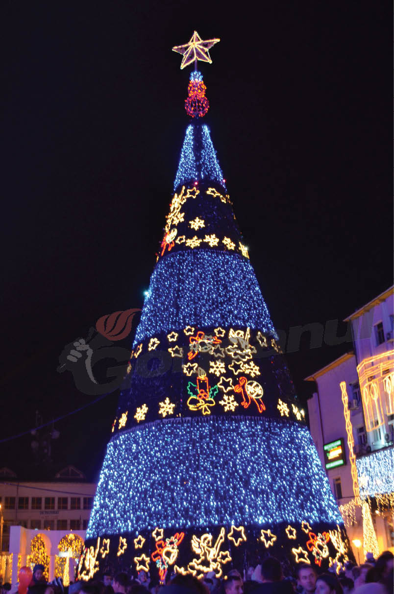 Brad dotat cu sistem de sonorizare şi soft, în Piaţa Prefecturii