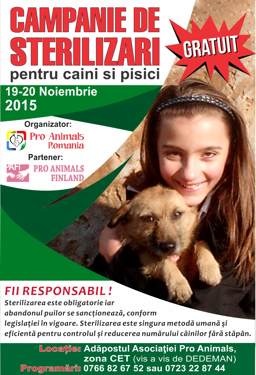 Sterilizări gratuite pentru patrupede