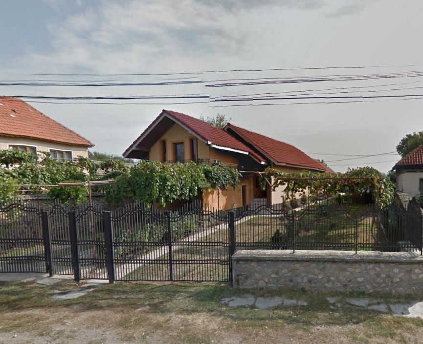 Auxiliarii Liceului Tehnologic Bîrseşti, salahori pe moşia directoarei Dabelea