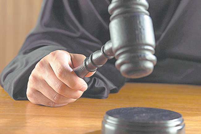 Pensionar condamnat pentru că a tăiat lemne din pădure!