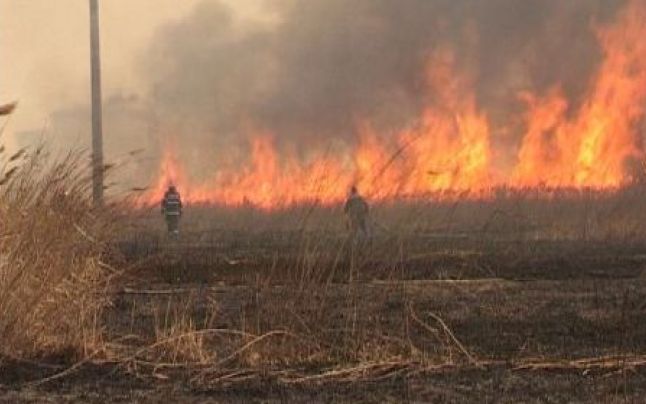 Incendiu de amploare pe Valea Cernei