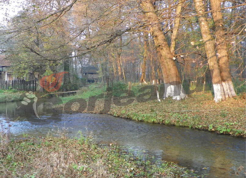 În prag de iarnă prin ţinutul izvoarelor gorjene