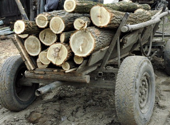 Dosar penal pentru abuz în serviciu