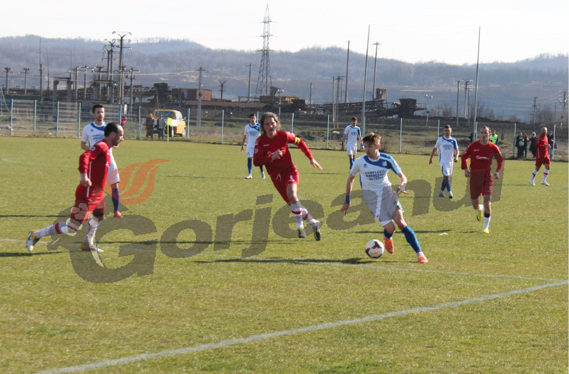 Pandurii II, victorie contra Lugojului