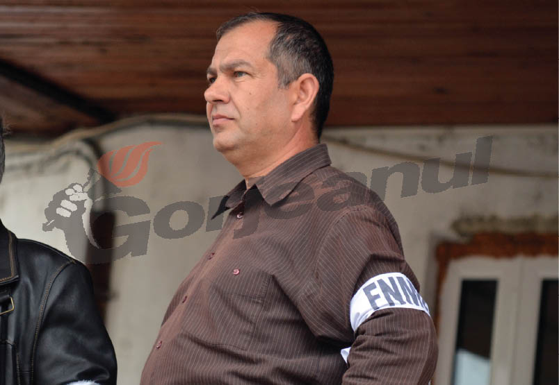 Pîrvulescu a primit preşedinţia FNME la pachet cu Condescu