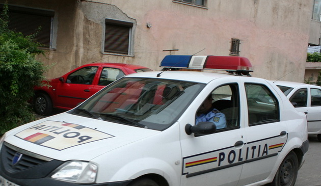 Anchetaţi pentru furt de material lemnos