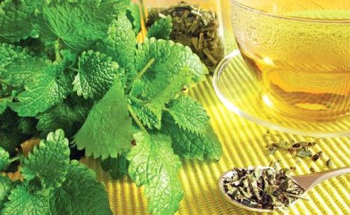 Plante medicinale din Farmacia Domnului – Roiniţa, recomandată în insomnii şi alte zece afecţiuni importante!