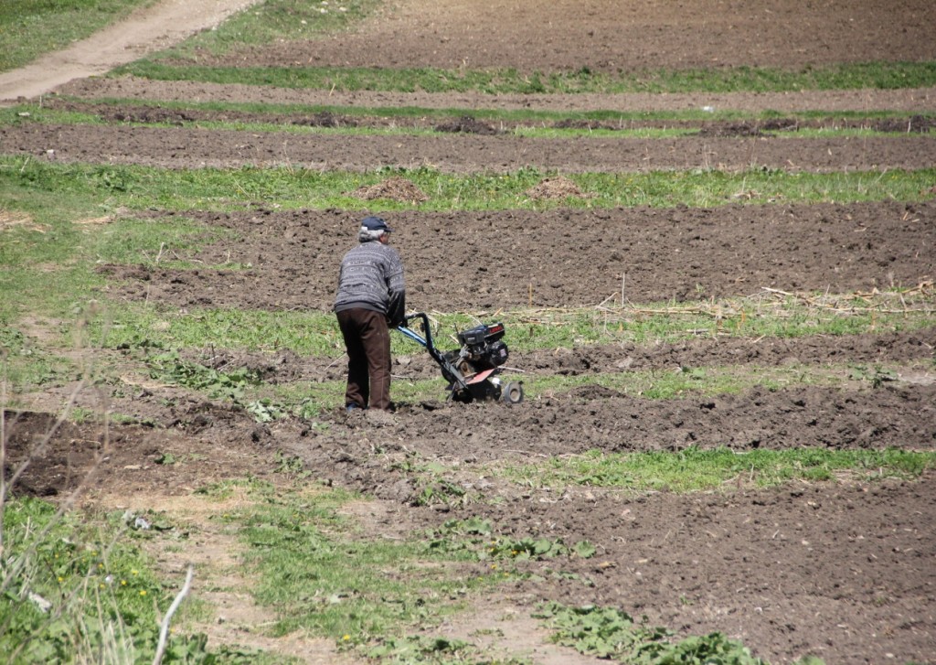 Autorizări la plată pentru 18.845 de fermieri
