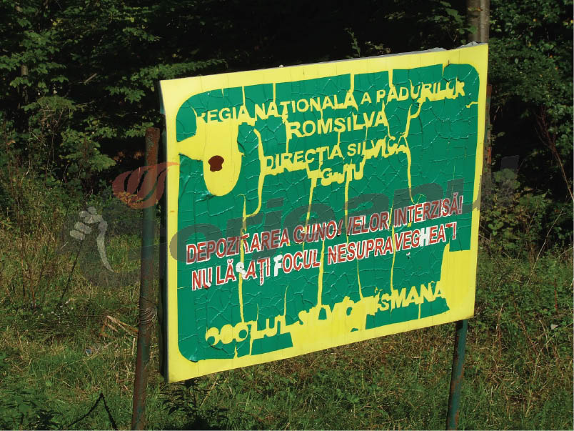 Turism necivilizat, pe Valea Tismanei