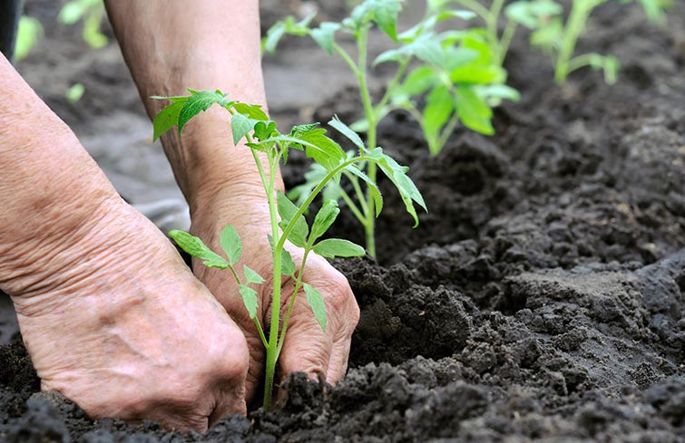 Final pentru sesiunile anuale de primire a proiectelor prin PNDR 2020