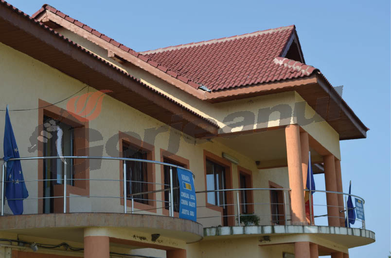 Trei posturi vacante la Băleşti