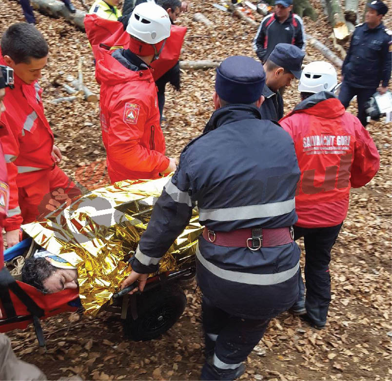 Angajat al Ocolului Silvic Tismana, rănit de un copac