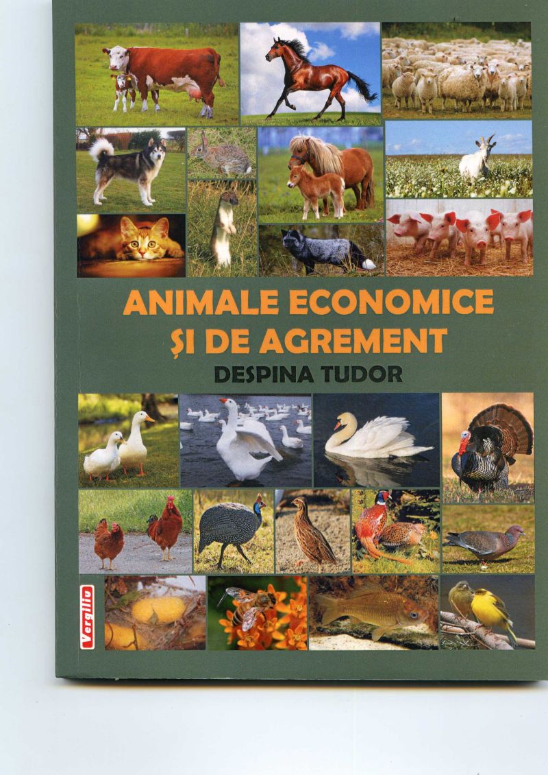 Gorjenii noştri cu care ne mândrim – Pilda doctorului de suflet şi de suflete – Despina Tudor – neobosită la 90 de ani!