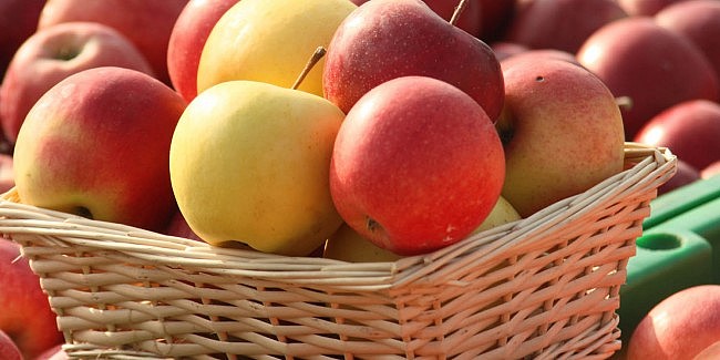 Guvernul continuă finanțarea consumului de fructe în școli