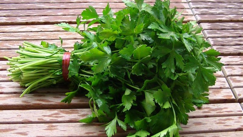 Plante medicinale din Farmacia Domnului – Pătrunjelul face minuni!