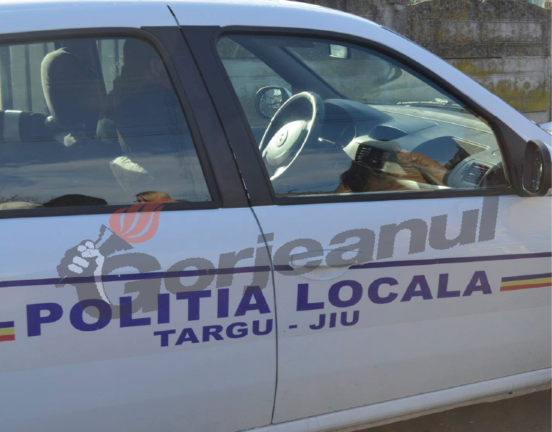Poliția Locală a stabilit măsurile pentru perioada Zilelor Orașului