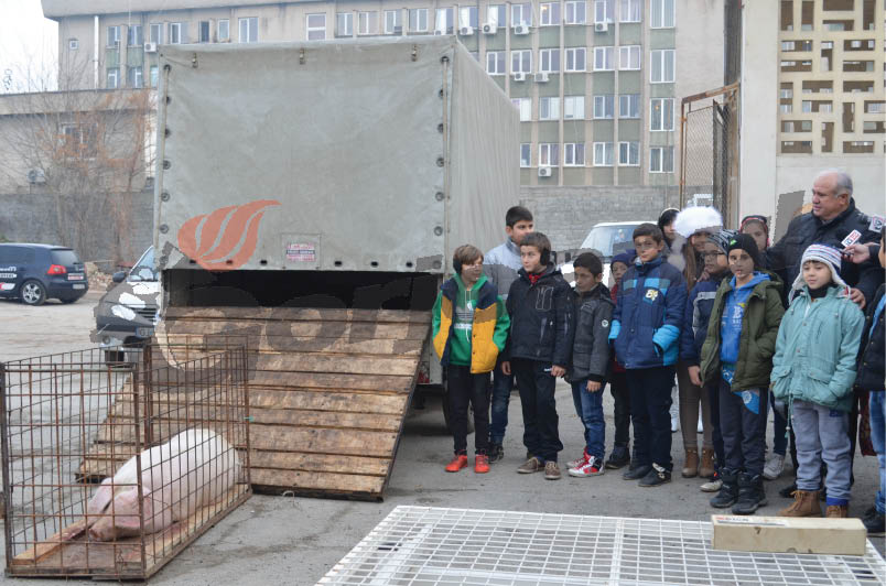 Consiliul Judeţean a continuat tradiţia tăierii porcului pentru copiii instituţionalizaţi