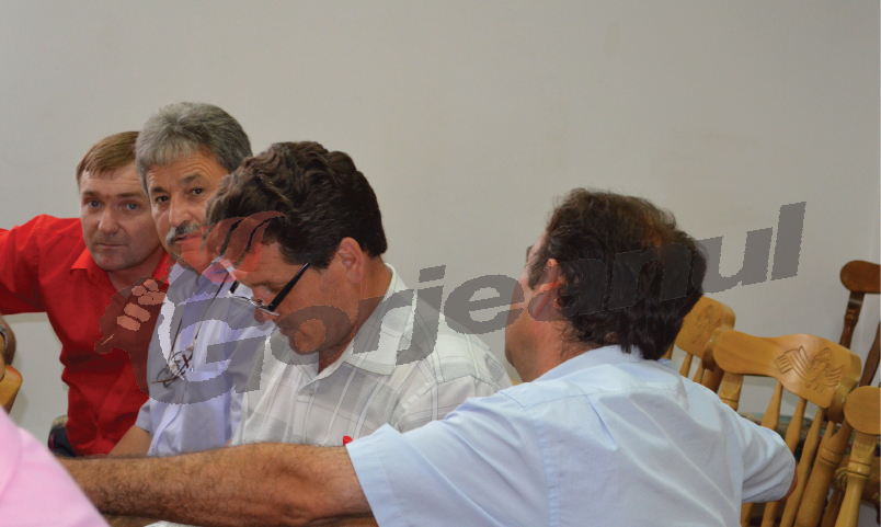 Primarii PSD au dat extemporal la candidatură