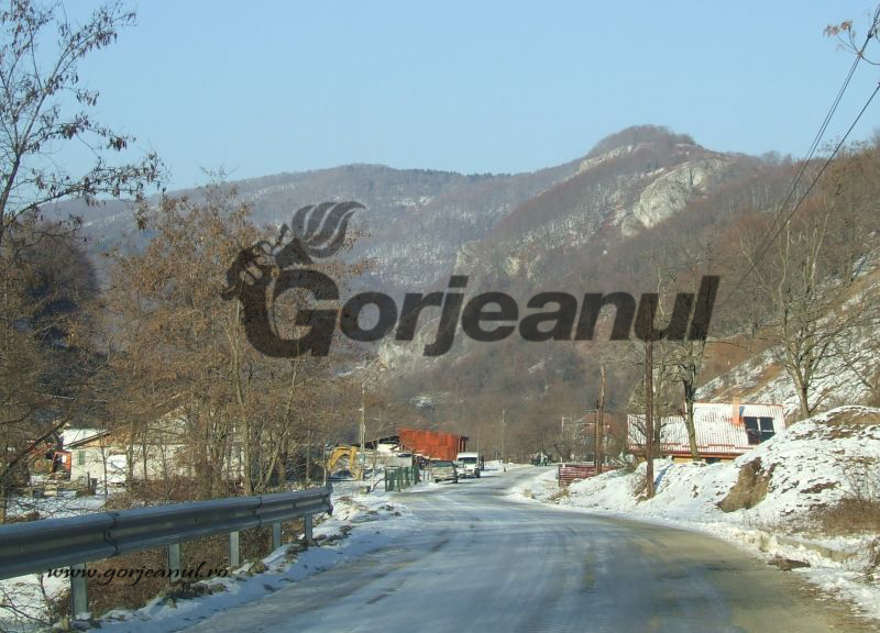 ÎN ANOTIMPUL HIBERNAL – Pe Șușița Verde, în lumea borzilor lui Oană