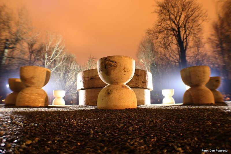 Brâncuși, promovat de europarlamentarul Negrescu