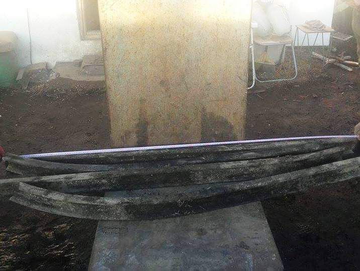 Hoți prinși de jandarmi