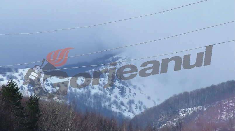 Pleşa Sohodolului- Muntele Marilor Avene