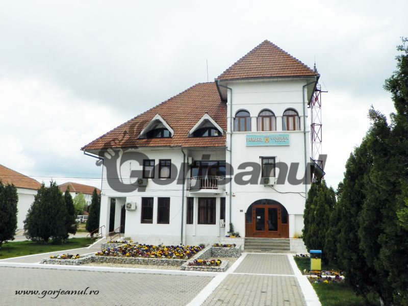 Primăria Turceni angajează inspector la SPCLEP