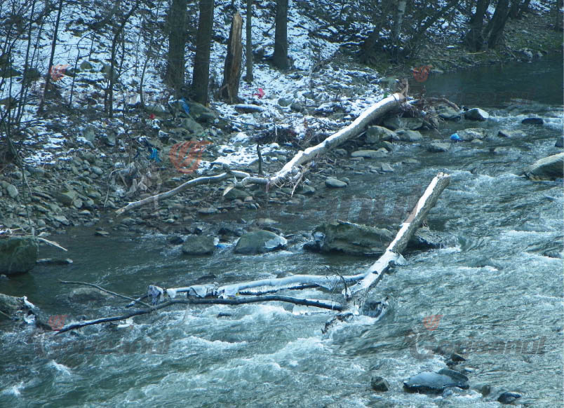 „Randonee” de iarnă