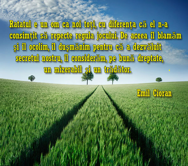 Educaţia…şi Lecţia de viaţă – Individualitatea umană într-un mediu social dezbinat