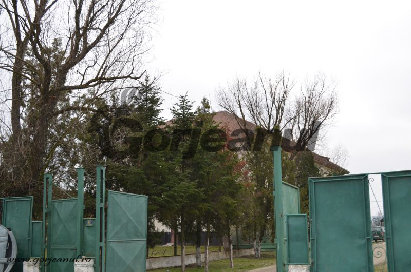 Gorjul are peste 8.400 de bolnavi psihic