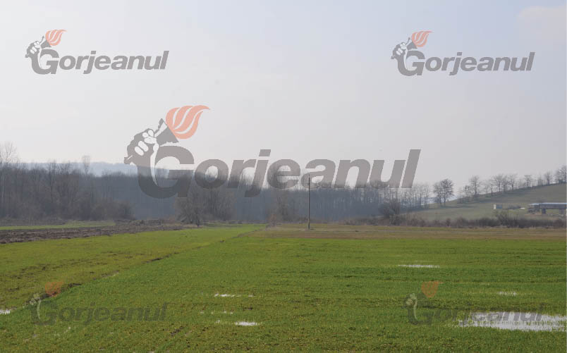 APIA eliberează adeverinţe pentru beneficiarii SAPS