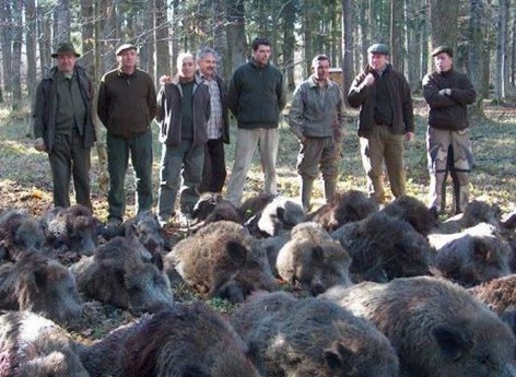 Absurditățile unei legi controversate / Părerea unui fost vânător