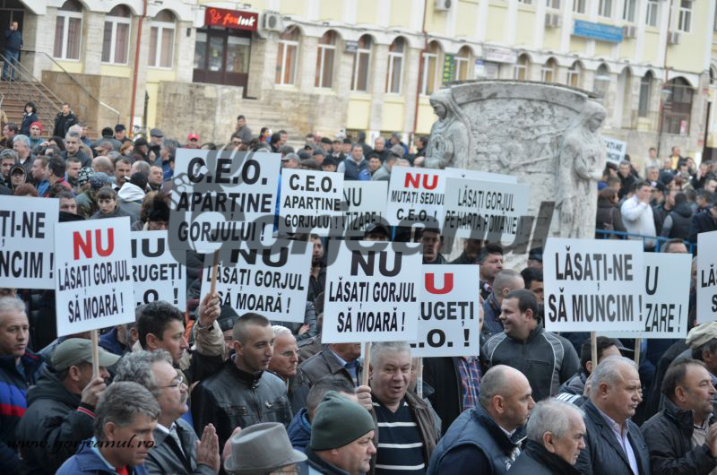 Galerie pentru CEO cu 4000 de gorjeni